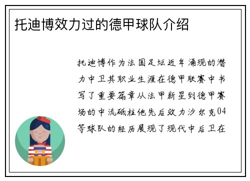 托迪博效力过的德甲球队介绍