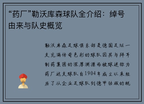 “药厂”勒沃库森球队全介绍：绰号由来与队史概览