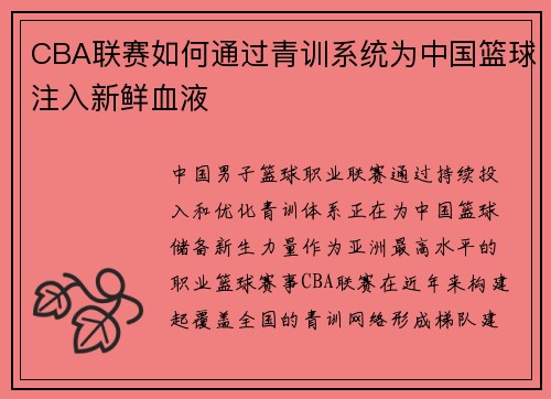 CBA联赛如何通过青训系统为中国篮球注入新鲜血液